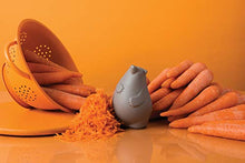 Load image into Gallery viewer, BARRY the Grater Stainless Steel Grater - Gifteee Unique & Unusual gifts, Cool gift ideas