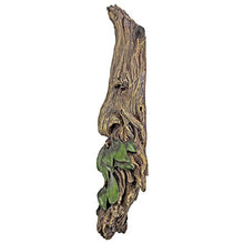 Load image into Gallery viewer, Whispering Wilhelm Tree Ent Wall Sculpture - Gifteee Unique & Unusual gifts, Cool gift ideas