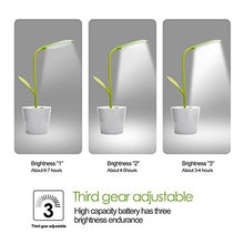 Load image into Gallery viewer, Plant Desk Lamp - Gifteee Unique & Unusual gifts, Cool gift ideas