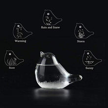 Load image into Gallery viewer, Storm Glass Weather Forecaster - Gifteee Unique & Unusual gifts, Cool gift ideas
