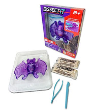 Load image into Gallery viewer, Synthetic Lab Dissection Toy - Bat - Gifteee Unique & Unusual gifts, Cool gift ideas