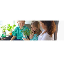 Load image into Gallery viewer, Back to the Roots Garden-in-a-Can, Grow Organic Basil - Gifteee Unique & Unusual gifts, Cool gift ideas
