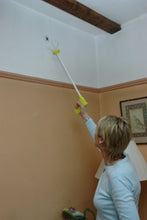 Load image into Gallery viewer, Spider Catcher - Gifteee Unique & Unusual gifts, Cool gift ideas