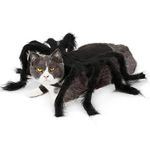 Load image into Gallery viewer, Dogs Cats Spider Costume - Gifteee Unique & Unusual gifts, Cool gift ideas