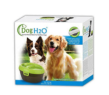 Load image into Gallery viewer, A bowl that filters your pet's water. - Gifteee Unique & Unusual gifts, Cool gift ideas