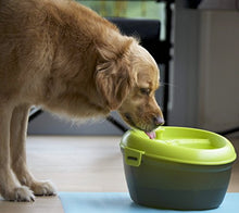Load image into Gallery viewer, A bowl that filters your pet's water. - Gifteee Unique & Unusual gifts, Cool gift ideas