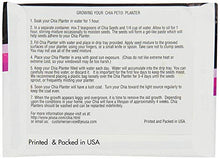 Load image into Gallery viewer, Golden Girls Sophia Planter - Gifteee Unique & Unusual gifts, Cool gift ideas