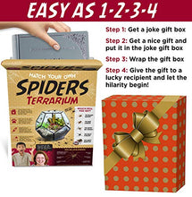Load image into Gallery viewer, Prank Gift Box Hatch Your Own Spider Terrarium - Gifteee Unique & Unusual gifts, Cool gift ideas