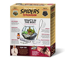 Load image into Gallery viewer, Prank Gift Box Hatch Your Own Spider Terrarium - Gifteee Unique & Unusual gifts, Cool gift ideas