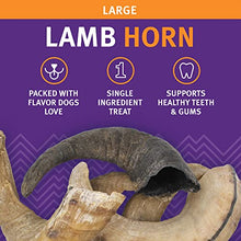 Load image into Gallery viewer, Large Lamb Horn Dog Chew - Gifteee Unique & Unusual gifts, Cool gift ideas