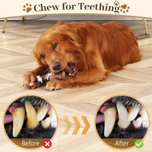 Load image into Gallery viewer, Super Chewer Dog Toy - Gifteee Unique & Unusual gifts, Cool gift ideas