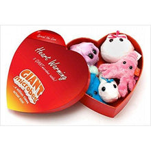 Load image into Gallery viewer, GIANT MICROBES Romantic Heart Warming Plush Gift Box - Gifteee Unique & Unusual gifts, Cool gift ideas
