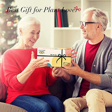 Load image into Gallery viewer, Air Planter Bulb Vase - Gifteee Unique & Unusual gifts, Cool gift ideas