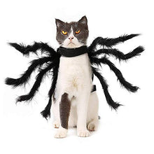 Load image into Gallery viewer, Dogs Cats Spider Costume - Gifteee Unique & Unusual gifts, Cool gift ideas