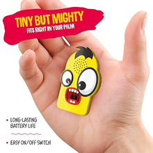 Load image into Gallery viewer, Cricket Noise Maker Prank - Gifteee Unique & Unusual gifts, Cool gift ideas