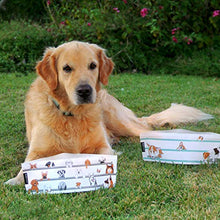 Load image into Gallery viewer, Portable & Collapsible Dog Bowl Set - Gifteee Unique & Unusual gifts, Cool gift ideas