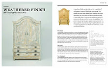 Load image into Gallery viewer, The Furniture Bible: Everything You Need to Know to Identify, Restore & Care for Furniture - Gifteee Unique & Unusual gifts, Cool gift ideas