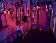 Load image into Gallery viewer, Bloody Weapons Decoration - Gifteee Unique & Unusual gifts, Cool gift ideas