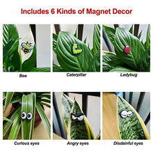 Load image into Gallery viewer, Plant Magnets Eyes for Potted Plants - Gifteee Unique & Unusual gifts, Cool gift ideas