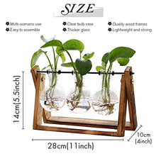 Load image into Gallery viewer, Air Planter Bulb Vase - Gifteee Unique & Unusual gifts, Cool gift ideas
