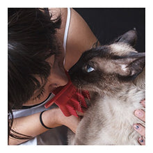 Load image into Gallery viewer, Licki Your Cat Brush - Gifteee Unique & Unusual gifts, Cool gift ideas