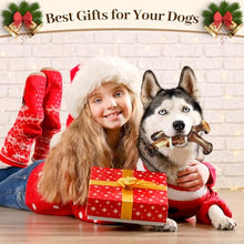 Load image into Gallery viewer, Super Chewer Dog Toy - Gifteee Unique & Unusual gifts, Cool gift ideas