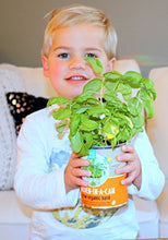 Load image into Gallery viewer, Back to the Roots Garden-in-a-Can, Grow Organic Basil - Gifteee Unique & Unusual gifts, Cool gift ideas