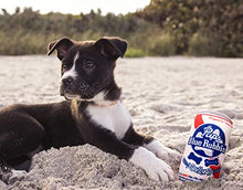 Load image into Gallery viewer, Beer Dog Toys - Gifteee Unique & Unusual gifts, Cool gift ideas