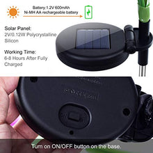 Load image into Gallery viewer, Solar Flower Shaped Garden Lights - Gifteee Unique & Unusual gifts, Cool gift ideas