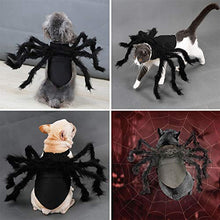 Load image into Gallery viewer, Dogs Cats Spider Costume - Gifteee Unique & Unusual gifts, Cool gift ideas