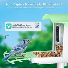 Load image into Gallery viewer, Bird Feeder with Smart Camera - Gifteee Unique & Unusual gifts, Cool gift ideas