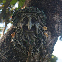 Load image into Gallery viewer, Hanging Flower Planter Pot with Tree Man Face - Gifteee Unique & Unusual gifts, Cool gift ideas
