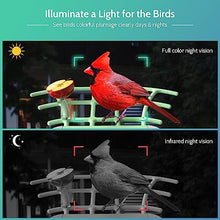 Load image into Gallery viewer, Bird Feeder with Smart Camera - Gifteee Unique & Unusual gifts, Cool gift ideas
