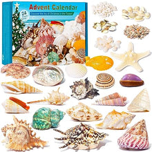 Load image into Gallery viewer, Seashell Advent Calendar - Gifteee Unique & Unusual gifts, Cool gift ideas