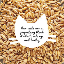 Load image into Gallery viewer, Cat Grass Kit (Organic) - Gifteee Unique & Unusual gifts, Cool gift ideas