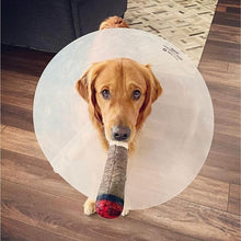 Load image into Gallery viewer, Cigar Dog Toy - Gifteee Unique & Unusual gifts, Cool gift ideas