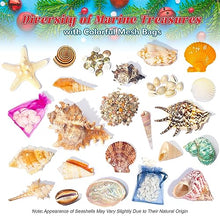 Load image into Gallery viewer, Seashell Advent Calendar - Gifteee Unique & Unusual gifts, Cool gift ideas