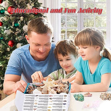 Load image into Gallery viewer, Seashell Advent Calendar - Gifteee Unique & Unusual gifts, Cool gift ideas