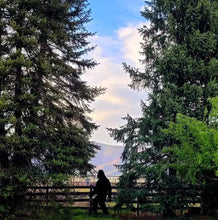 Load image into Gallery viewer, Big Foot Yard Display - Over 7ft Tall - Gifteee Unique & Unusual gifts, Cool gift ideas