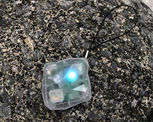 Load image into Gallery viewer, Ghost Detector Rock - Gifteee Unique & Unusual gifts, Cool gift ideas