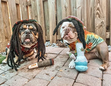 Load image into Gallery viewer, Cigar Dog Toy - Gifteee Unique & Unusual gifts, Cool gift ideas