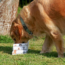 Load image into Gallery viewer, Portable & Collapsible Dog Bowl Set - Gifteee Unique & Unusual gifts, Cool gift ideas