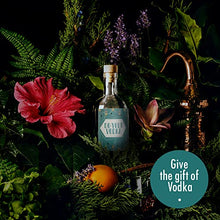 Load image into Gallery viewer, DIY Kit for Homemade Vodka Flavor - Gifteee Unique & Unusual gifts, Cool gift ideas