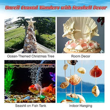 Load image into Gallery viewer, Seashell Advent Calendar - Gifteee Unique & Unusual gifts, Cool gift ideas