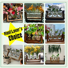 Load image into Gallery viewer, Air Planter Bulb Vase - Gifteee Unique & Unusual gifts, Cool gift ideas