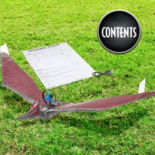 Load image into Gallery viewer, Jurassic World  - Power Flight Dino - Pteranodon - Gifteee Unique & Unusual gifts, Cool gift ideas
