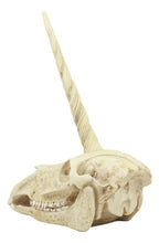 Load image into Gallery viewer, Unicorn Skull Statue - Gifteee Unique & Unusual gifts, Cool gift ideas