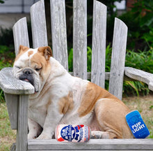 Load image into Gallery viewer, Beer Dog Toys - Gifteee Unique & Unusual gifts, Cool gift ideas