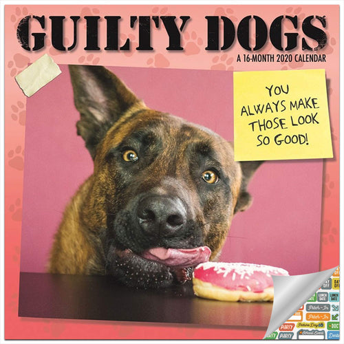 Guilty Dog Calendar 2020 - Gifteee. Find cool & unique gifts for men, women and kids