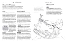 Load image into Gallery viewer, The Yoga Anatomy Coloring Book: A Visual Guide to Form, Function, and Movement - Gifteee Unique & Unusual gifts, Cool gift ideas